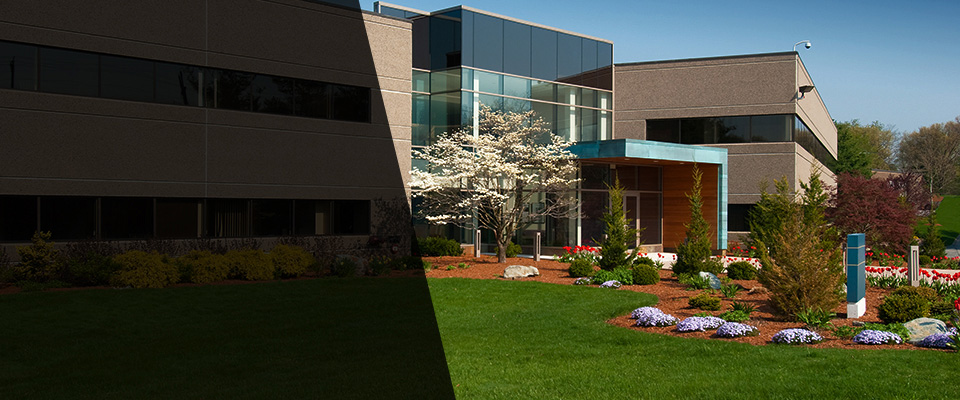 Rock Hill Landscapers