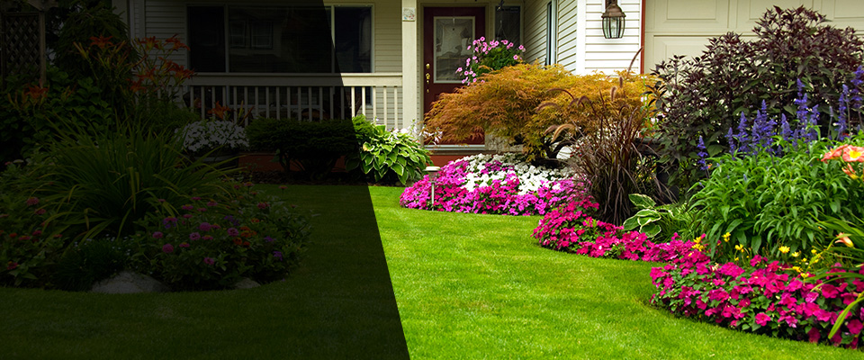 Rock Hill Landscapers