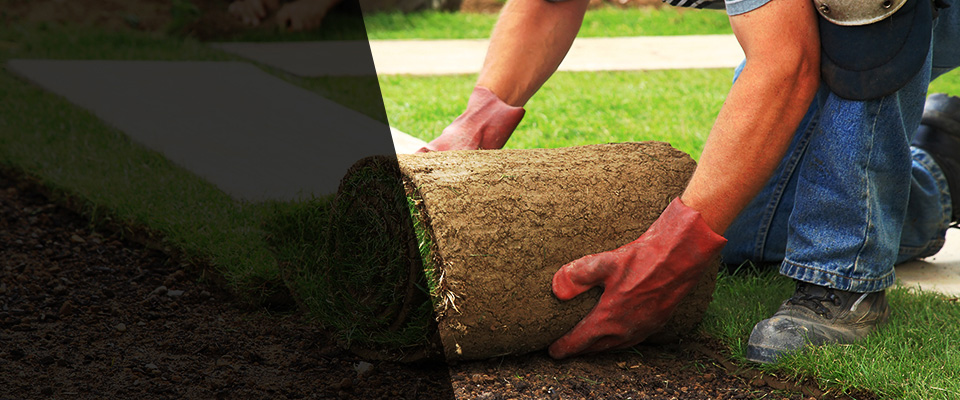 Rock Hill Landscapers